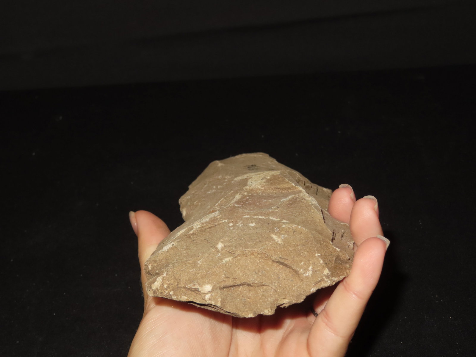 7 3/4" Flint Axe, Kansas - 5