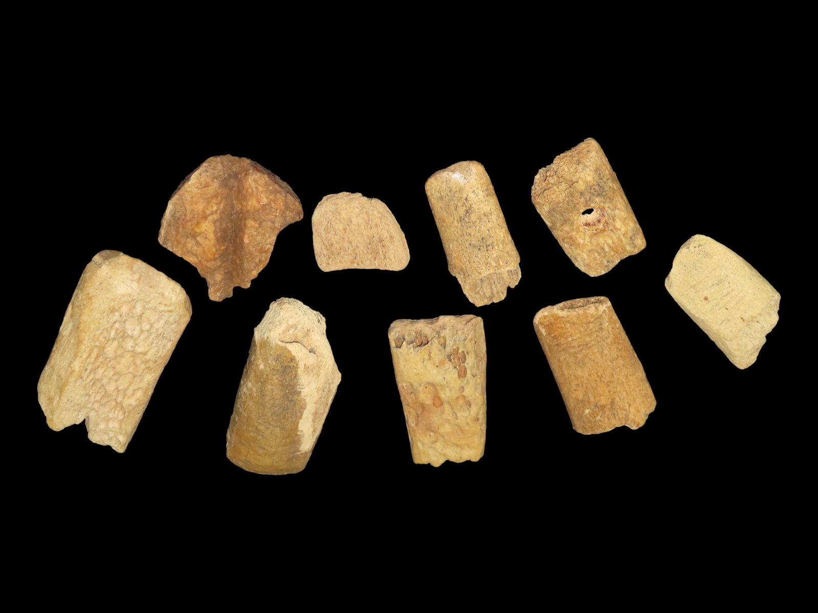 Lot of Mandan Bone Tools and Adzes, Dakotas and Kansas (1 of 11)