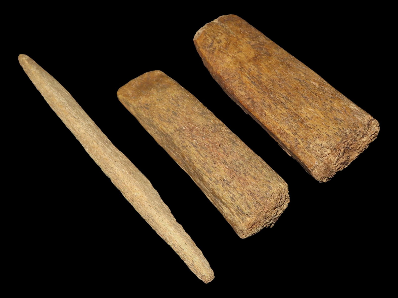 Lot of Mandan Tools, 2 Bone Adzes and Bone Awl, Dakotas (1 of 5)