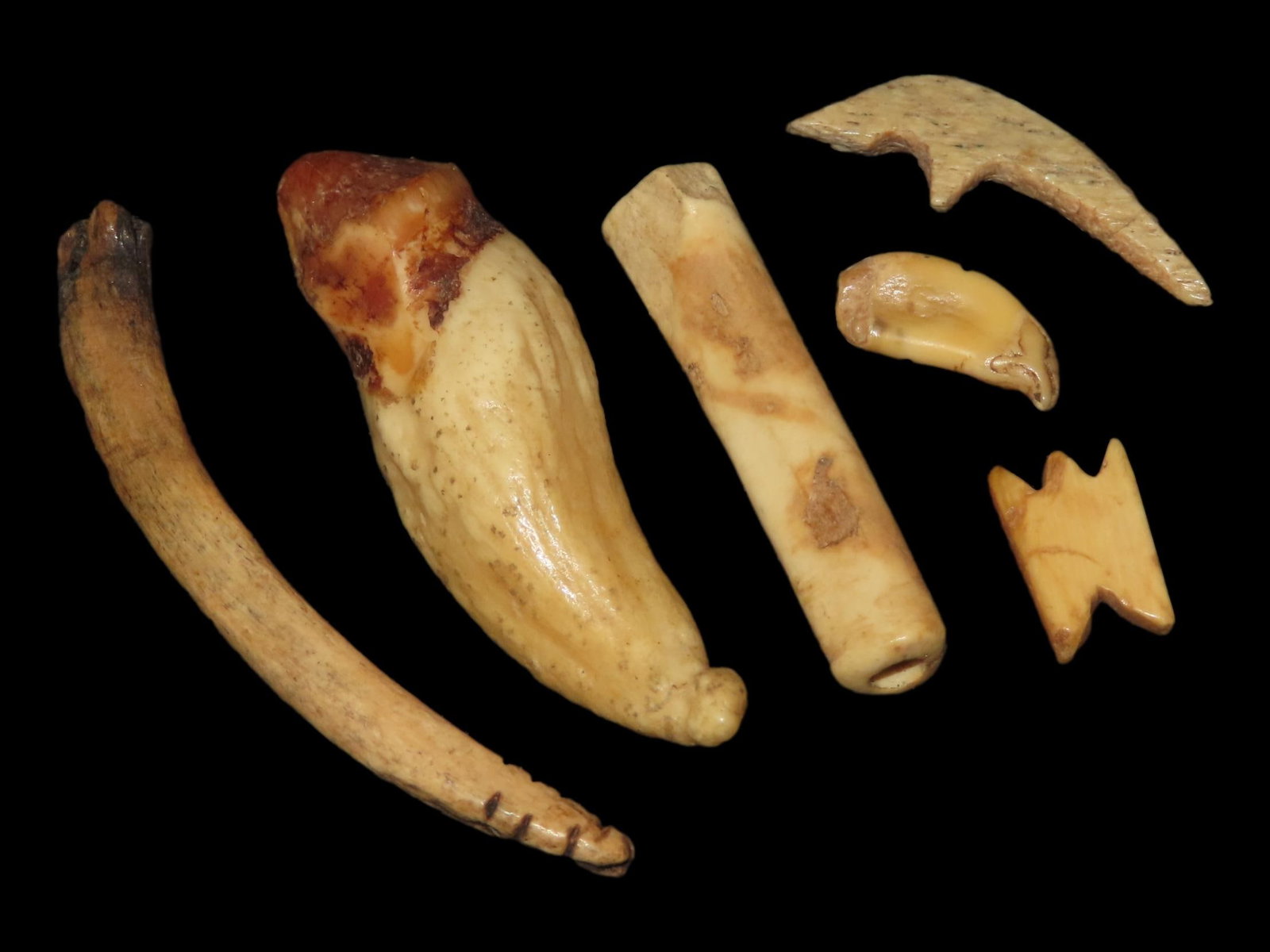 Lot of Miscellaneous Eskimo and Alaskan Tools, Effigies, Tooth Pendant, and Bone Bead, Great Polish (1 of 4)