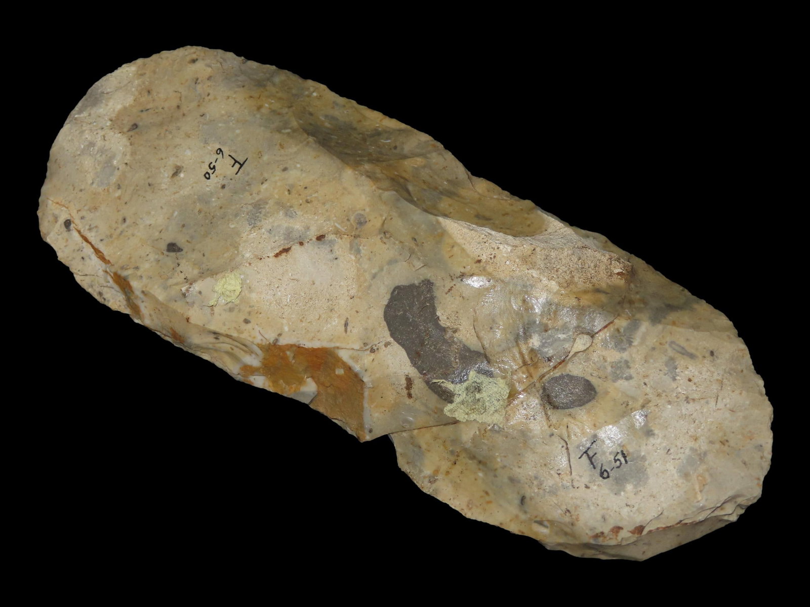 8 1/8" Polished Hoe, Colorful Chert, Kansas: 8 1/8" Polished Hoe, Colorful Chert, Kansas