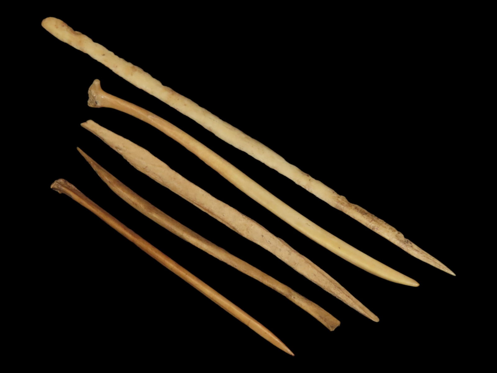 Lot of 5 Bird Bone Awls, Alaskan Eskimo (1 of 4)