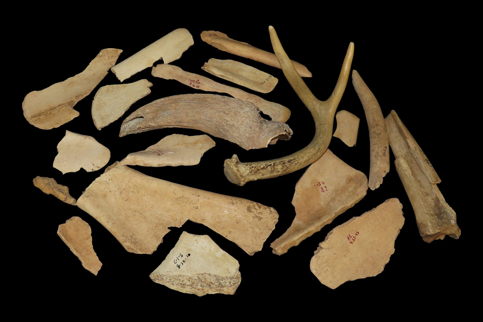 Box of Bone Tools and Antler, Mandan Site, Dakotas (1 of 7)