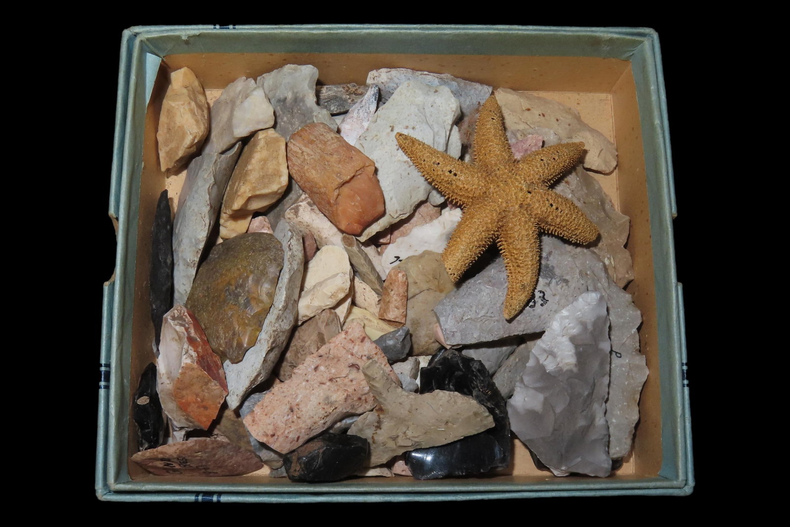 Box of Miscellaneous Flint Bird Points, Drills, and Thumb Scrapers, All from Same Site in Kansas (1 of 6)