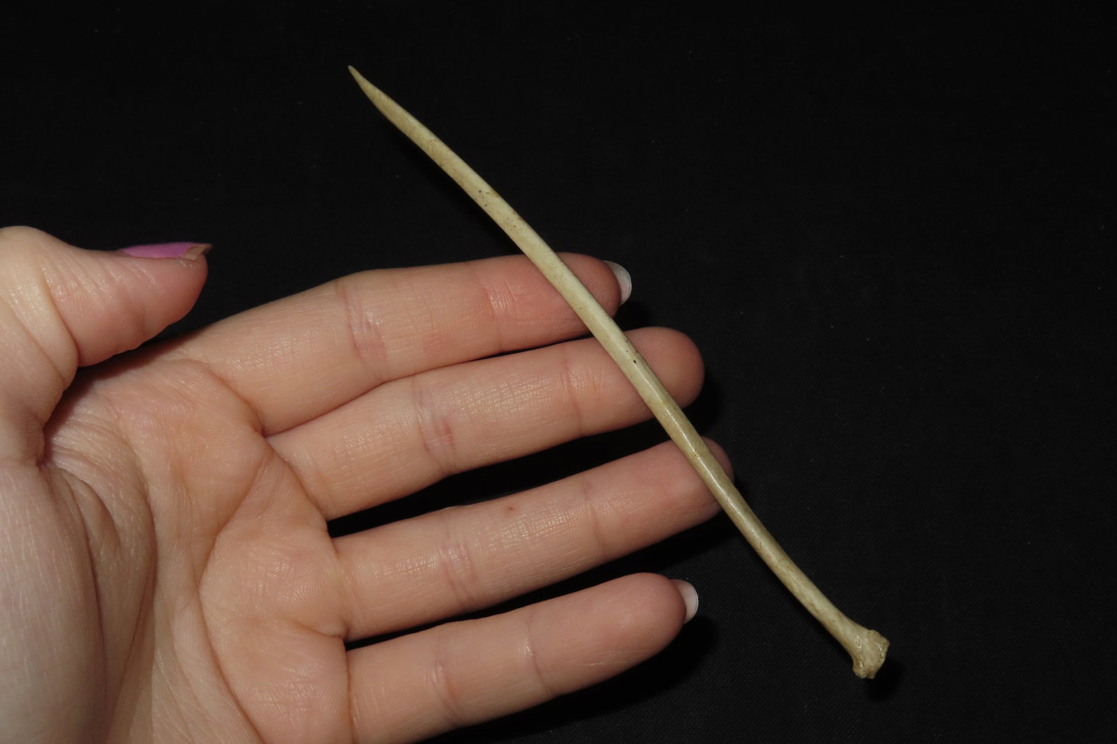 5 1/4" Bone Awl - 2