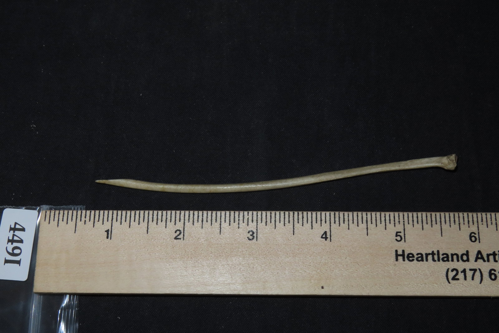 5 1/4" Bone Awl - 5