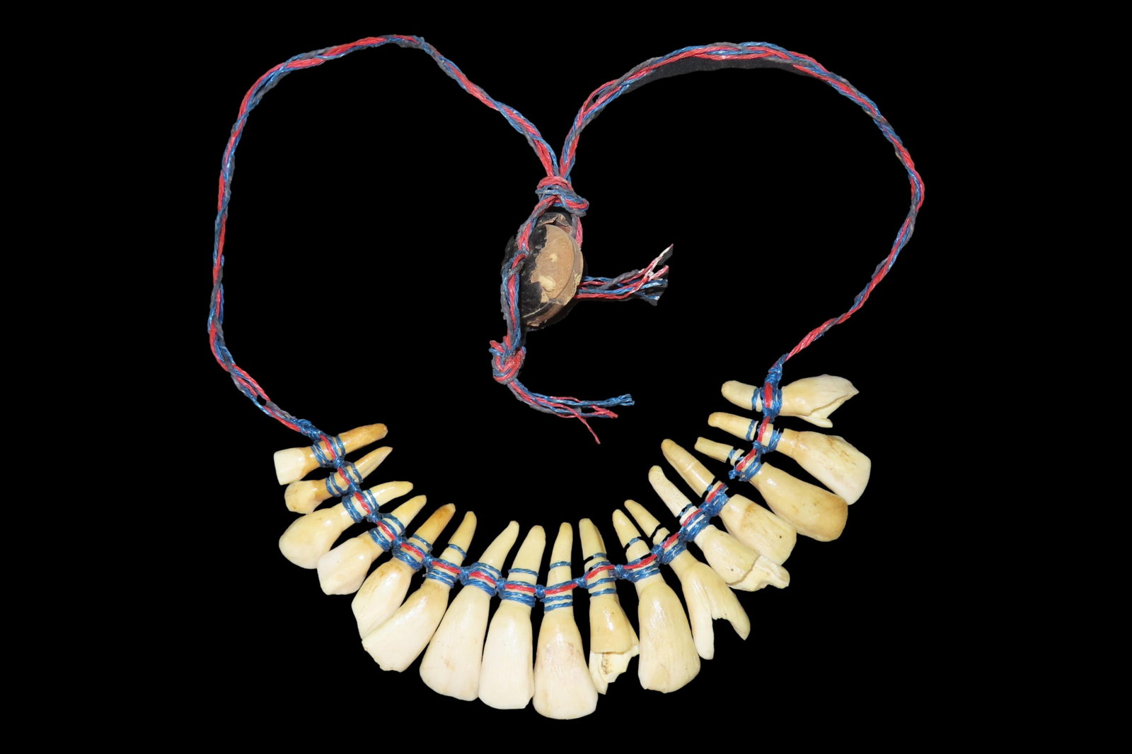 Historic Native American Tooth Necklace (1 of 4)