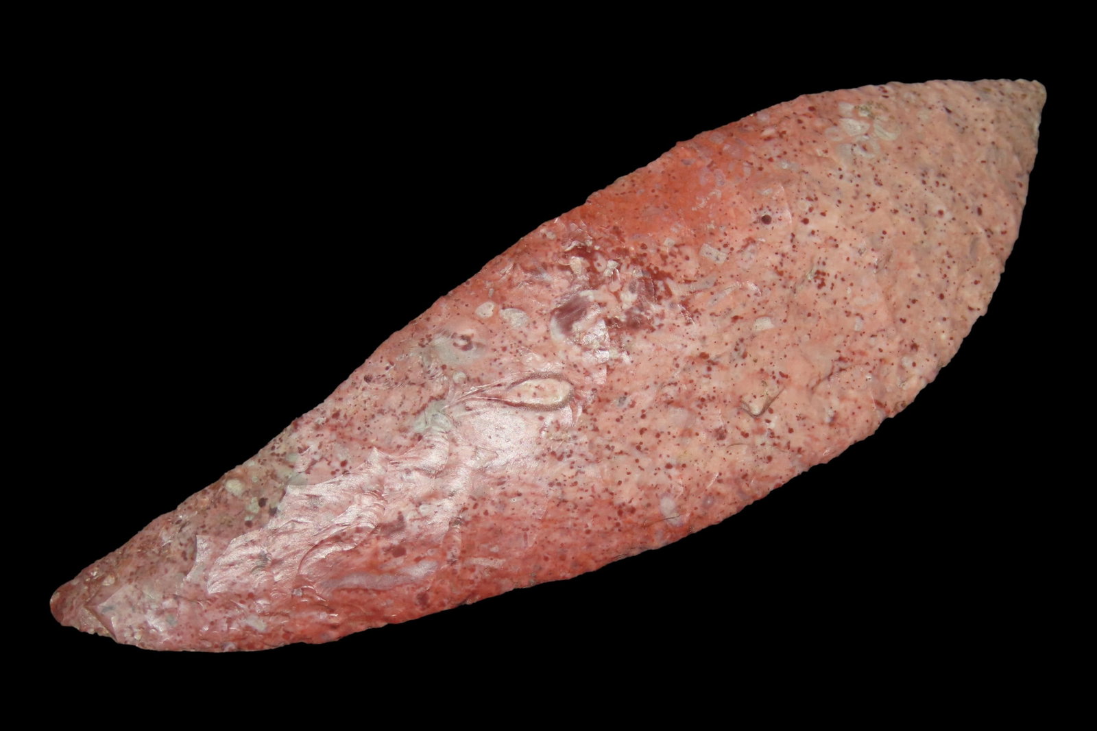 5 3/16" x 1 1/2" Morse Knife, Dickey COA, Made of Heated Burlington Chert, Found in Calhoun Co. IL (1 of 8)
