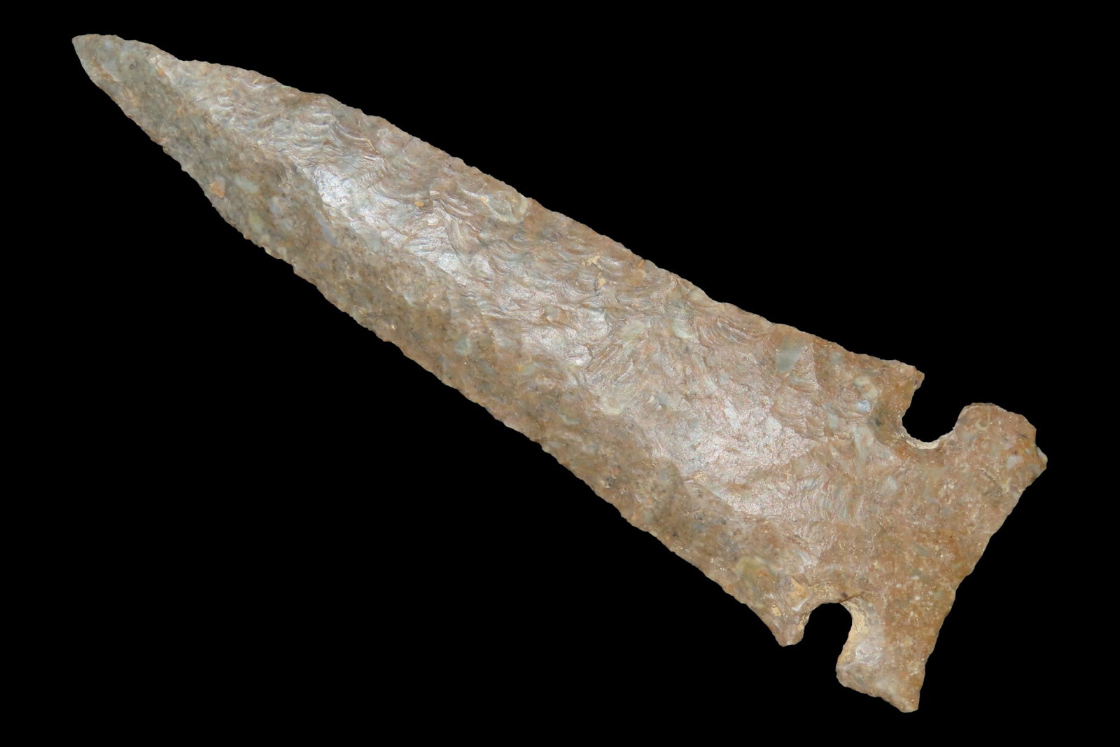 4 1/2" x 1" Bolin Bevel Graham Cave, Dickey COA, Found in Kentucky, Made of Fossiliferous Ft. Payne (1 of 11)