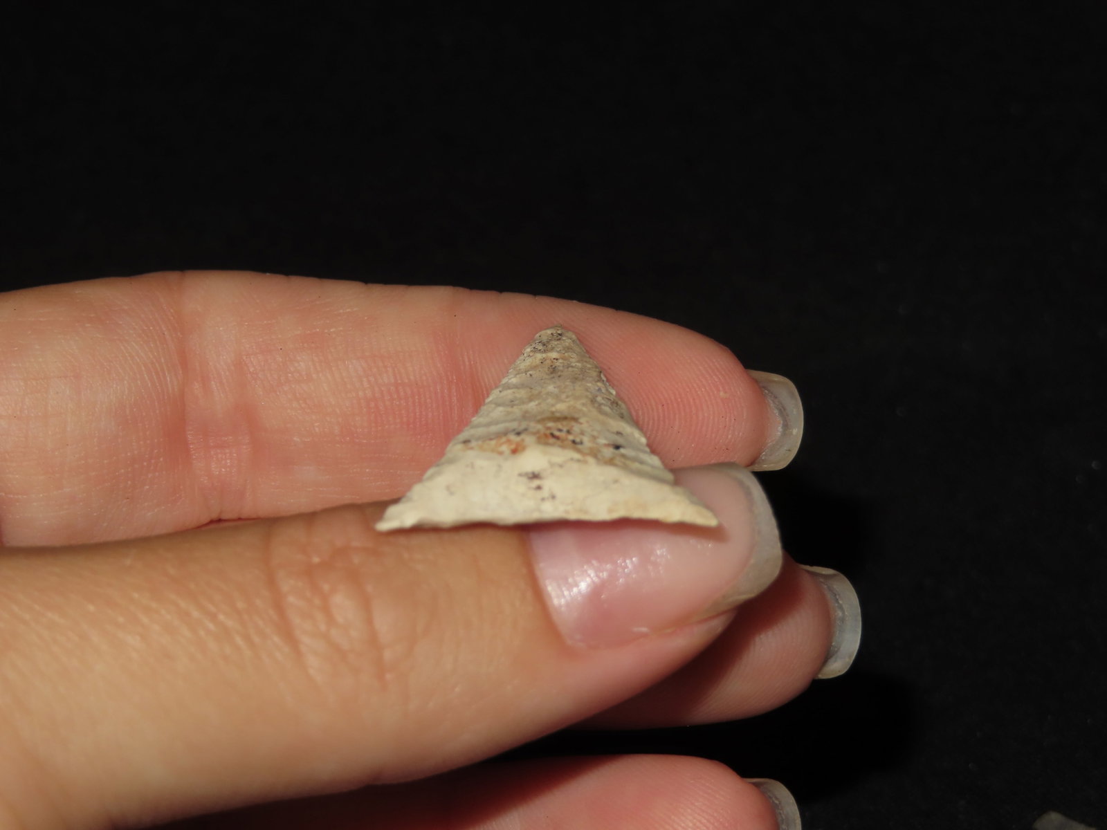 1 3/8" Very Well-Made Triangular Point, Illinois, Great Example - 5