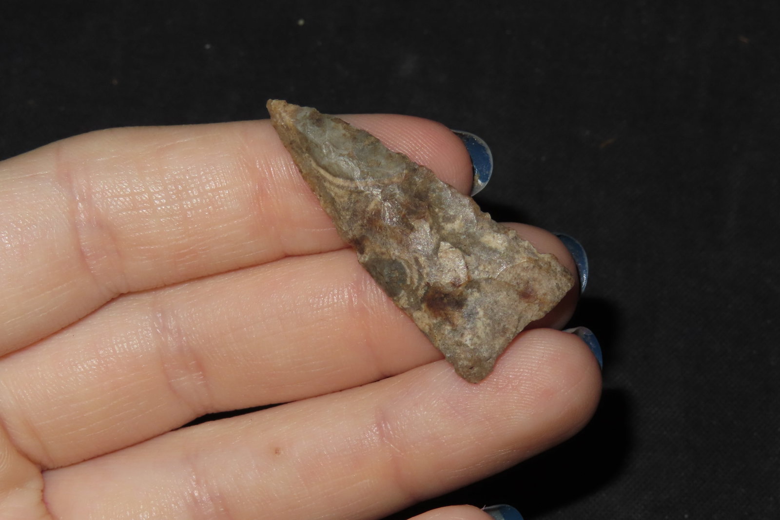 1" Triangular Bird Point, Texas - 2