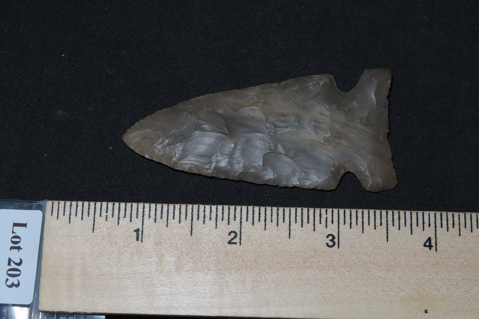 2 7/8" Ocola Pt., KY - 6