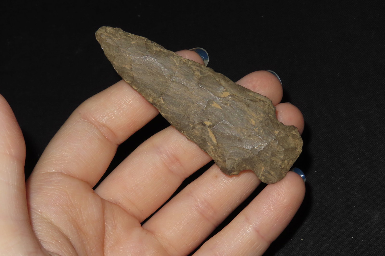 3" Dover Archaic Pt. - 2