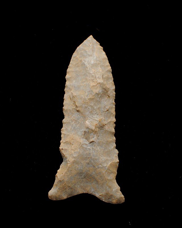Knuckles Dalton, Fort Payne Chert, Union Co Illinois, (1 of 2)