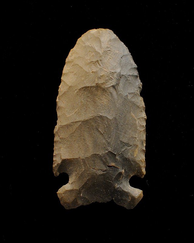 Cache River, NE Arkansas, Pitkin Chert, 2.41": Cache River, NE Arkansas, Pitkin Chert, 2.41"