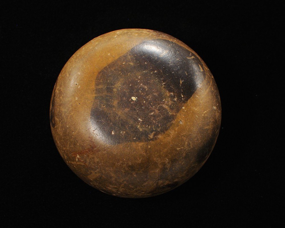 Colorful Super Polish Biscuit Discoidal, Tiptonville (1 of 8)