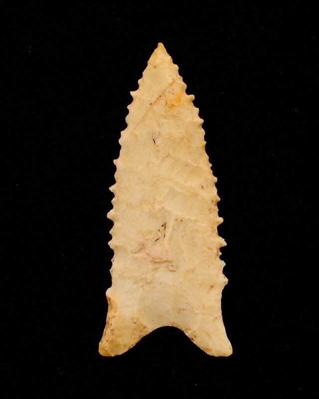 High Grade Cocklebur Dalton, Green Co AR, 3.00": High Grade Cocklebur Dalton, Green County Arkansas, Burlington Flint. 3.00"