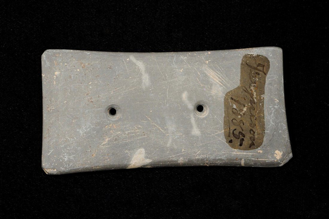 Quadra-concave Gorget, Ex. Bill Taylor, 3.84" x (1 of 4)