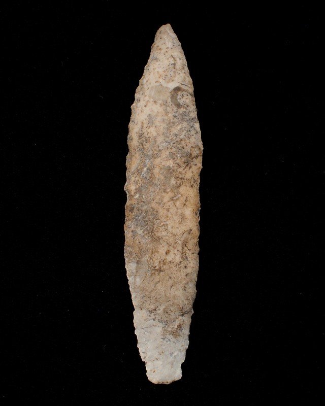 Nebo Hill, Midwest, Rogers COA, Ex. C Shewey, 3 7/8" (1 of 3)