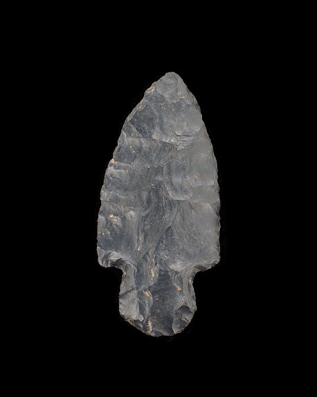 Turkey Tail, Coshocton, Ohio, 3 1/4" (1 of 2)