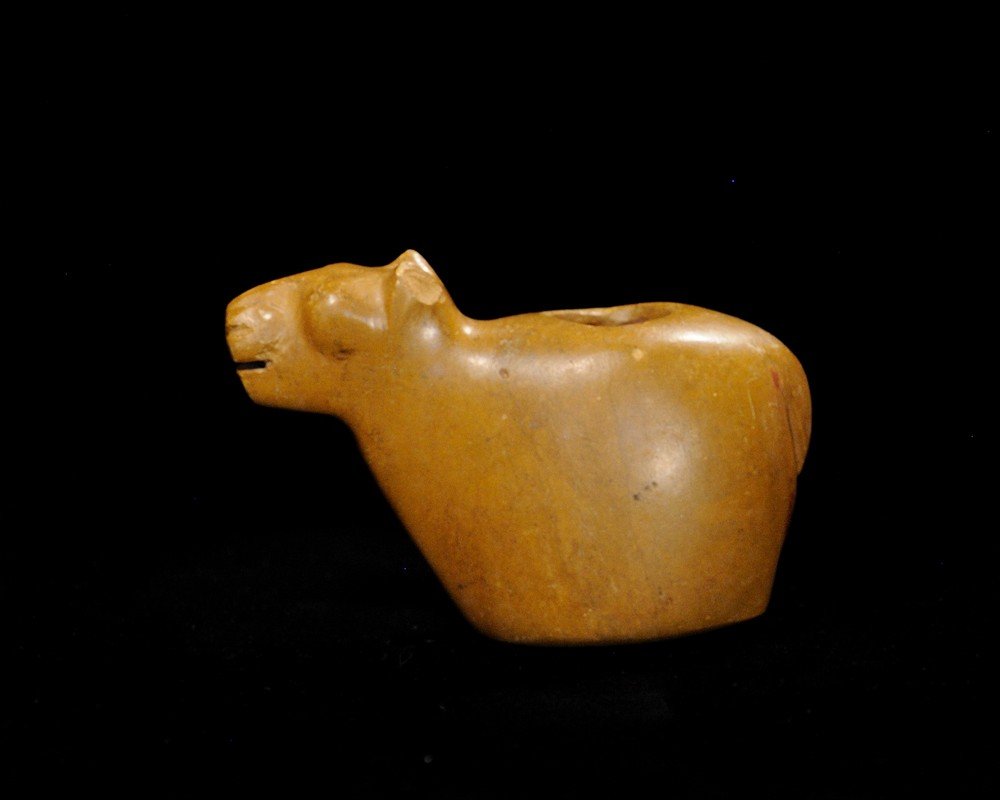 Lamma Figure Conopa, Peru (1 of 2)