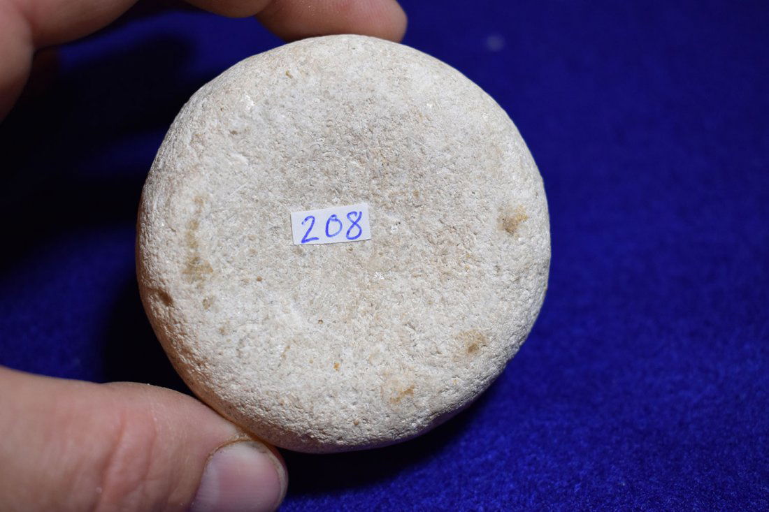 LIMESTONE JERSEY BLUFF DISCOIDAL, JACKSON CO ILLINOIS, (1 of 7)