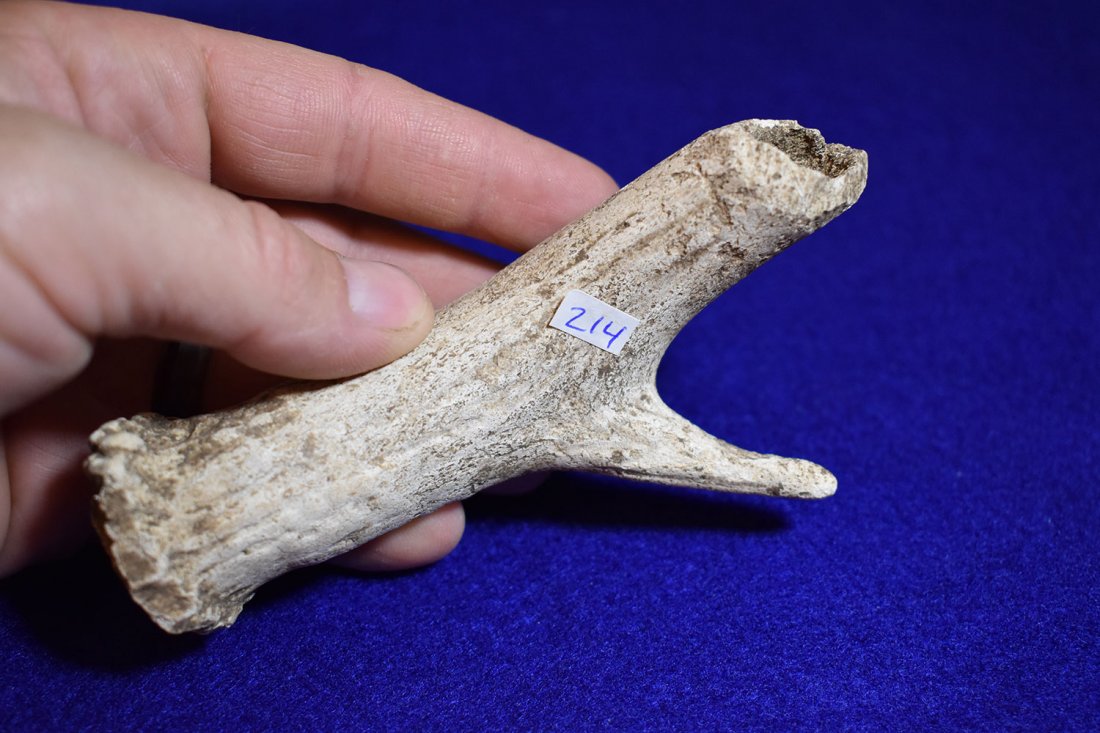 DEER ANTLER BONE HANDLE, MILLER COUNTY MISSOURI, FOUND: DEER ANTLER BONE HANDLE, MILLER COUNTY MISSOURI, FOUND BY RICHARD WHITTLE, DRILLED TOP, 4 3/4"
