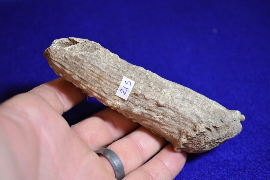 DEER ANTLER BONE HANDLE, MILLER COUNTY MISSOURI, FOUND: DEER ANTLER BONE HANDLE, MILLER COUNTY MISSOURI, FOUND BY RICHARD WHITTLE, DRILLED TOP, 4 3/4"