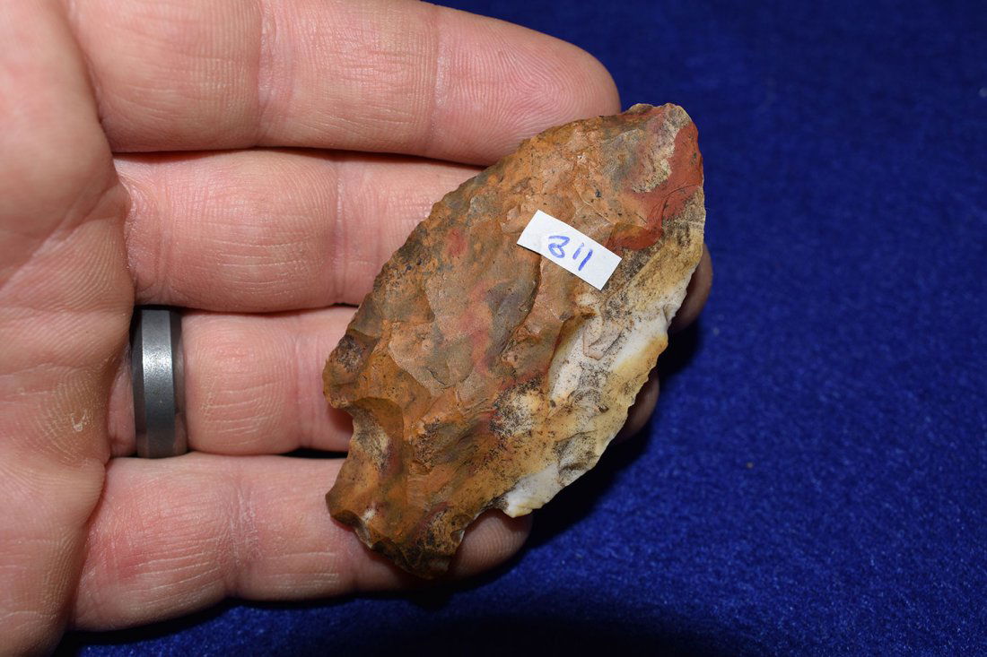 SUPER COLORFUL JACKSON COUNTY FLORIDA ARROWHEAD, ELORA, (1 of 2)