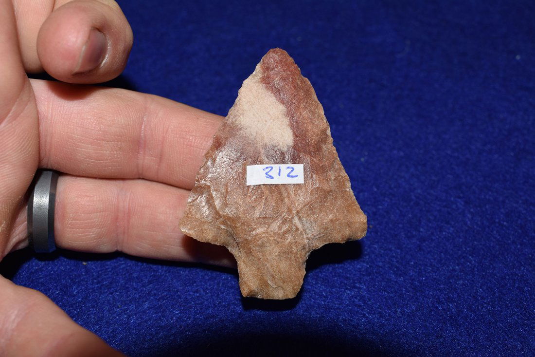 KILLER AGATE CORAL LEVY POINT, JACKSON COUNTY FLORIDA, (1 of 2)