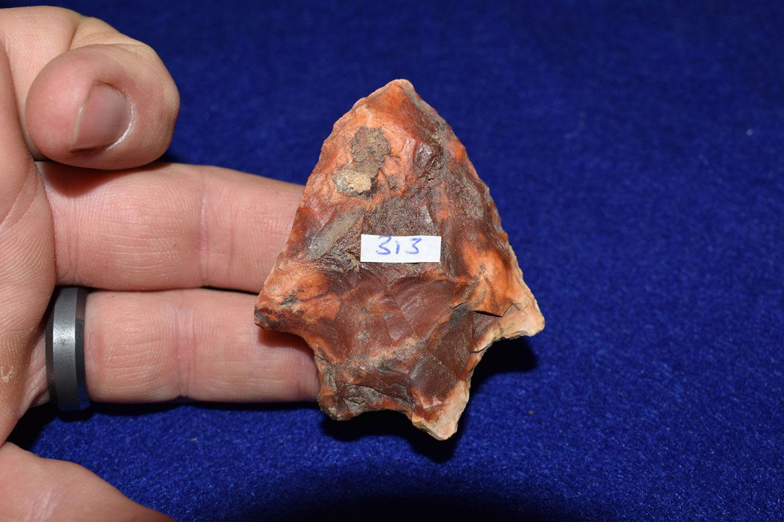 OUTSTANDING AGATE CORAL, VERY COLORFUL HARDEE POINT, (1 of 2)