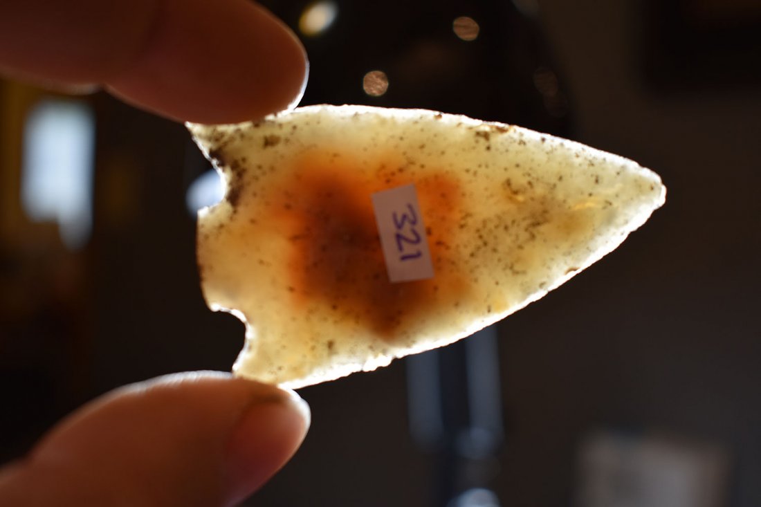 TRANSLUCENT SNAP BASE, AGATE CORAL, JACKSON CO FLORIDA, (1 of 3)