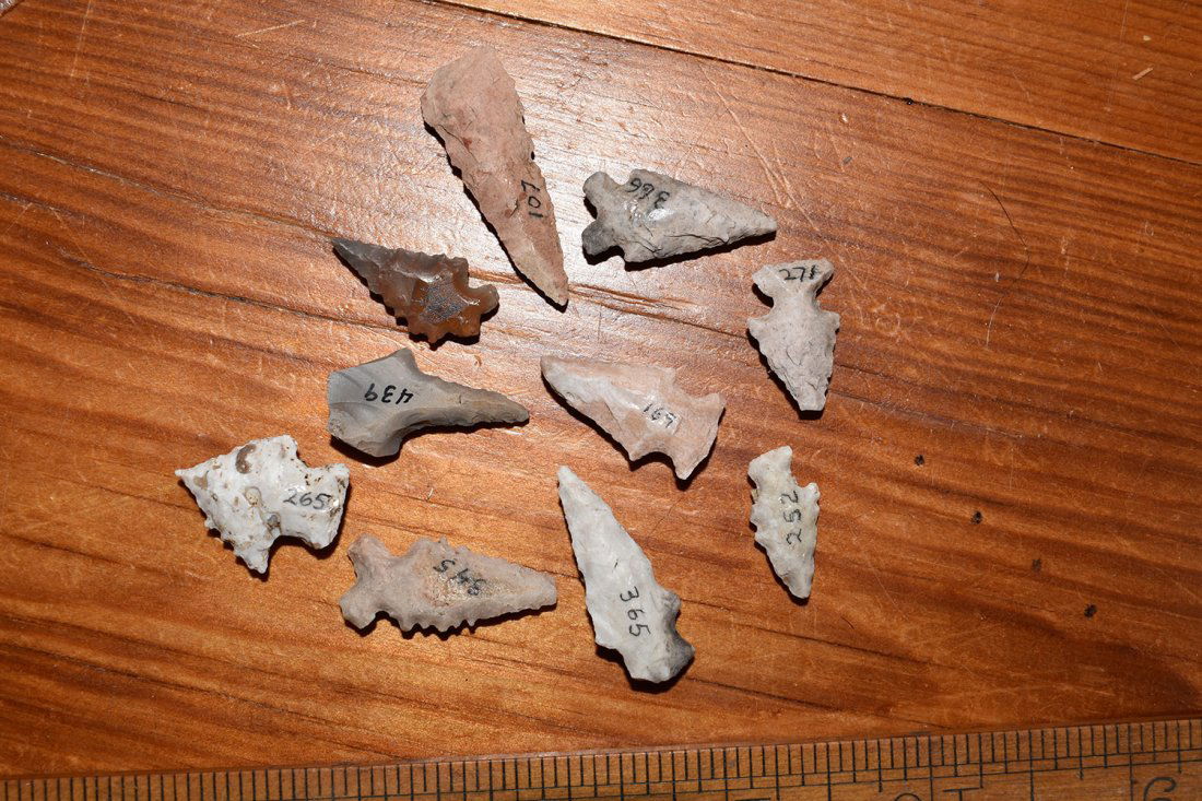 10 NICE MISSISSIPPIAN BIRD POINTS, FORT SMITH ARKANSAS (1 of 3)