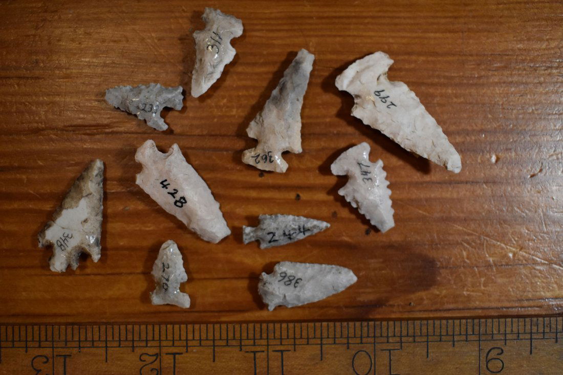 10 NICE MISSISSIPPIAN BIRD POINTS, FORT SMITH ARKANSAS (1 of 3)