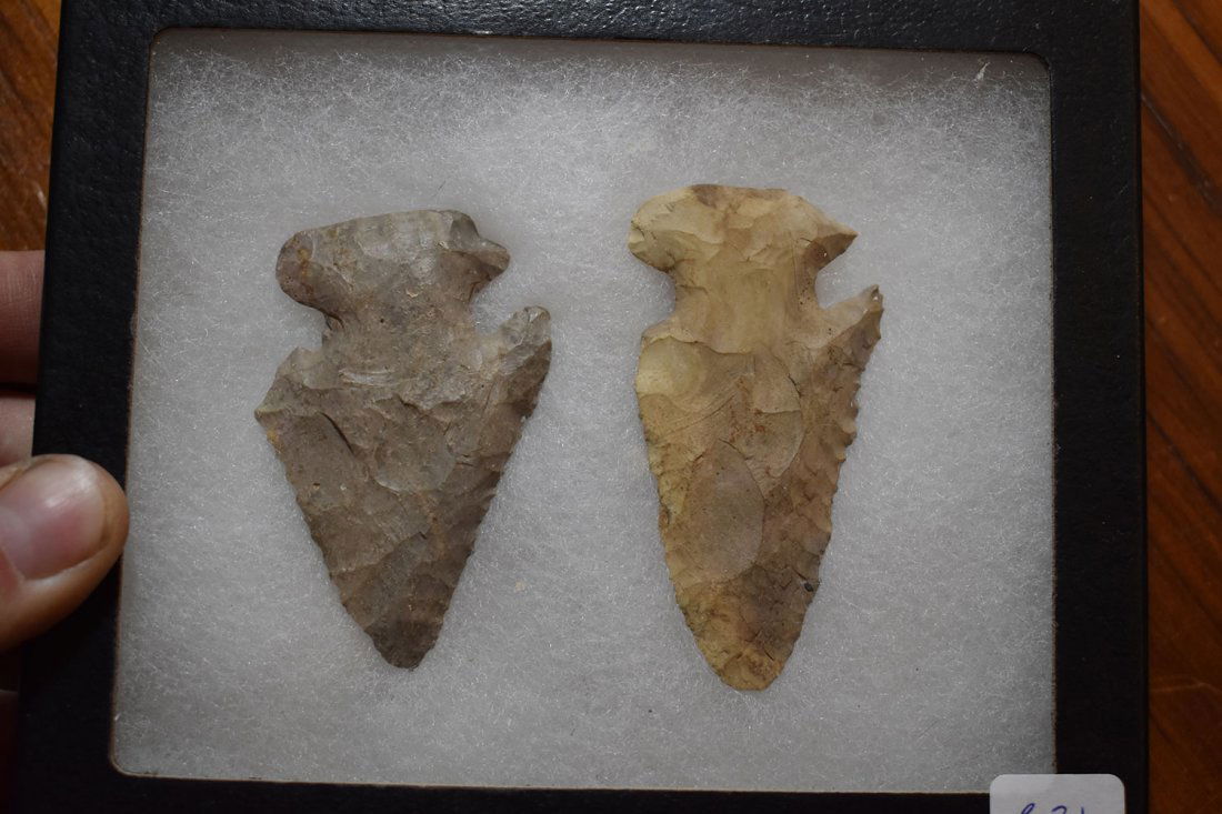 NICE PAIR OF E-NOTCH THEBES FOUND IN HURON COUNTY, (1 of 2)