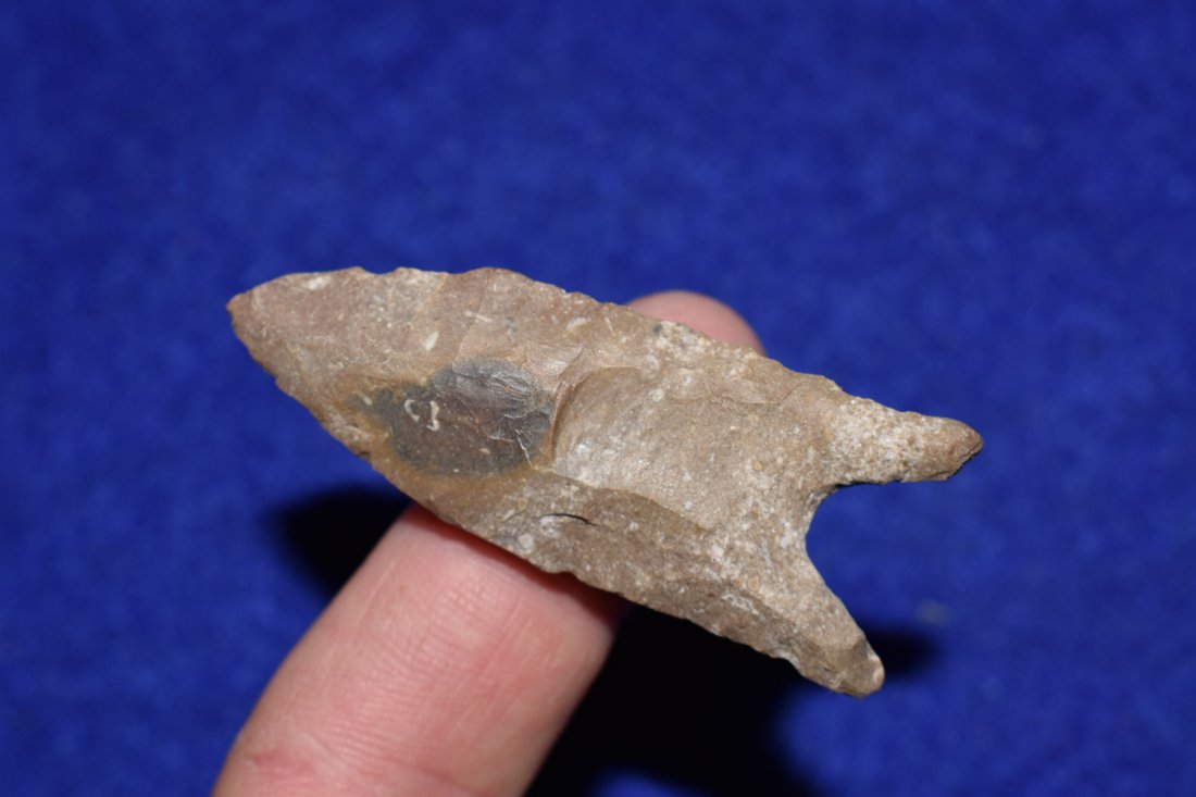 2  1/8"  DALTON FROM GREENE COUNTY, ARKANSAS (1 of 2)