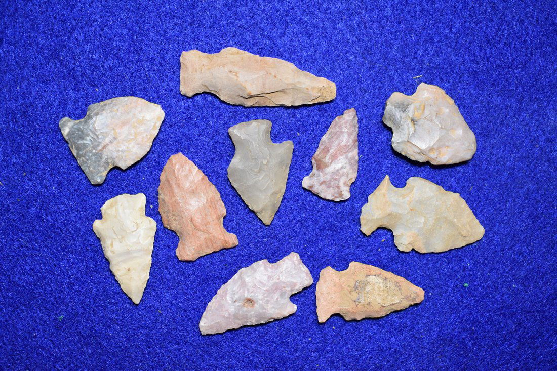 GROUP OF 10 BIRD POINTS FROM SOUTHERN MISSOURI. (1 of 3)