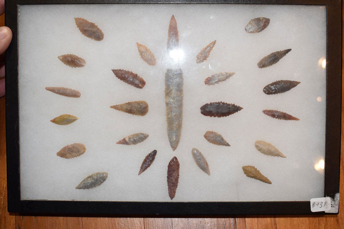 8  1/2" X 12" FRAME OF 25 HEAVILY SERRATED AFRICAN (1 of 4)