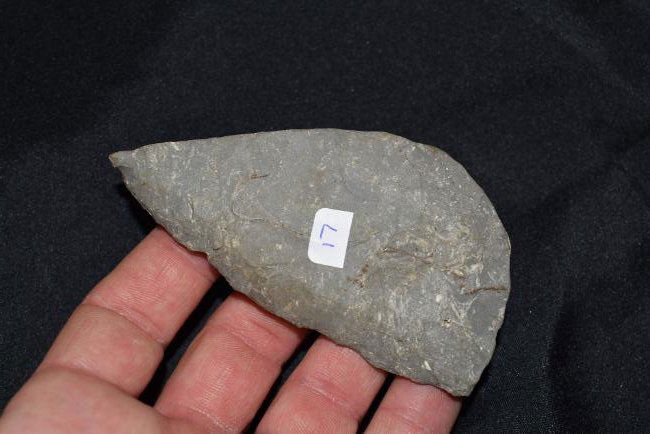 Outstanding paleo side knife Pottawatomie Co KS (1 of 2)