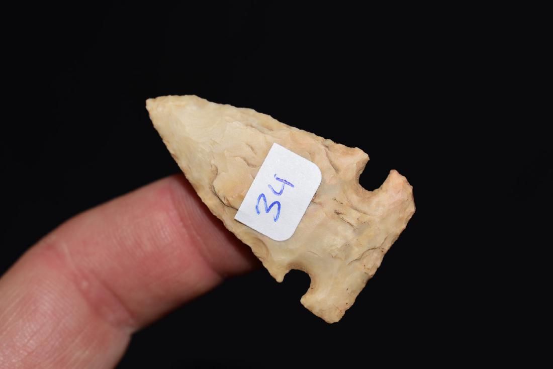 Cache River, Greene Co Arkansas, (1 of 2)