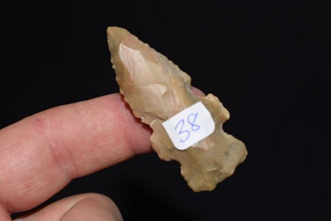 Evans Point, Greene Co Arkansas, (1 of 2)