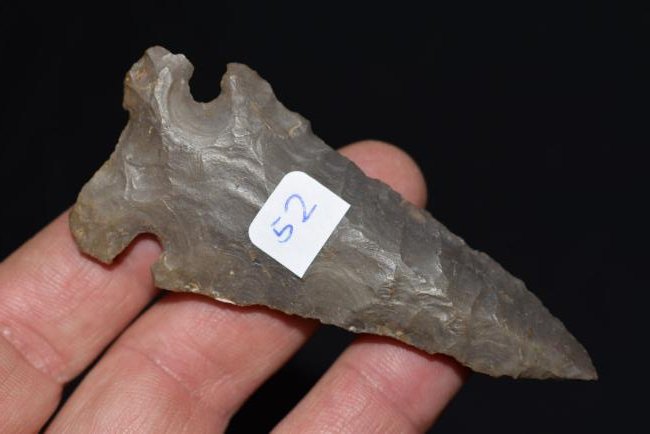 Jackson Co, Ill Hornstone Big Sandy (1 of 2)