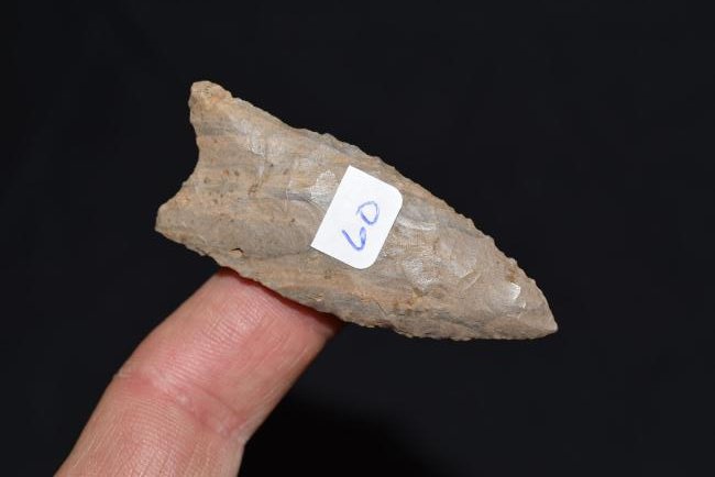 Jackson Co, Il Banded Flint Dalton (1 of 2)