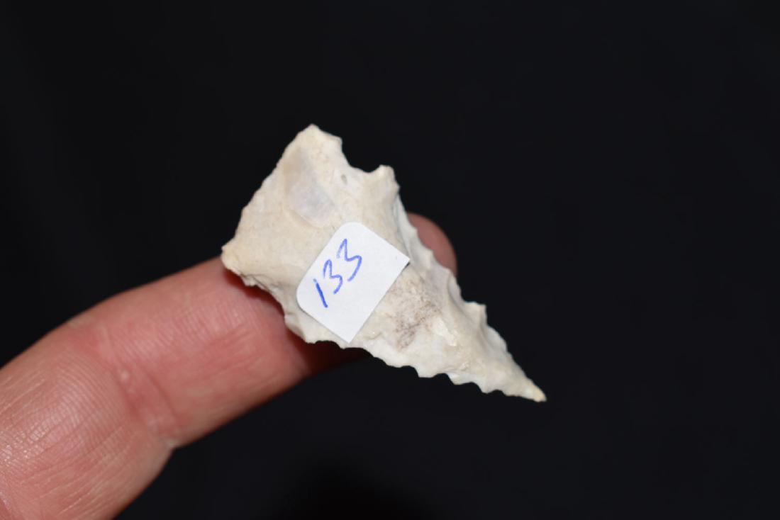 Bolen Beveled Point, Jackson Co Florida (1 of 2)