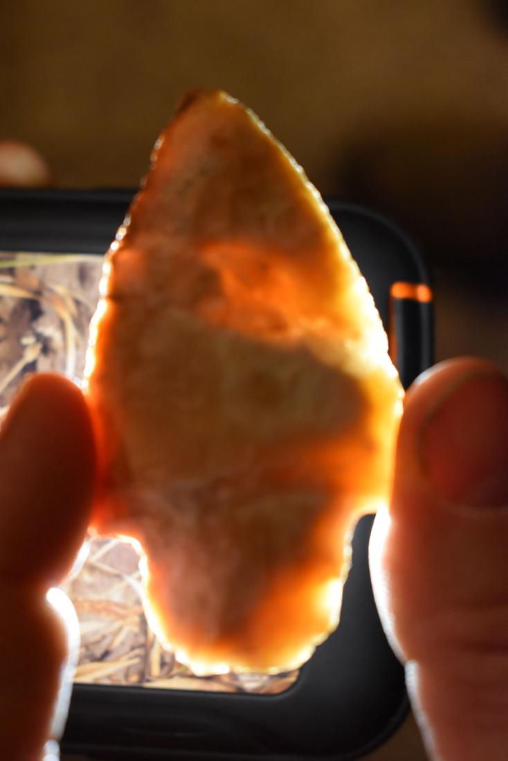 Super Banded Boggy Branch, Jackson Co Florida (1 of 3)