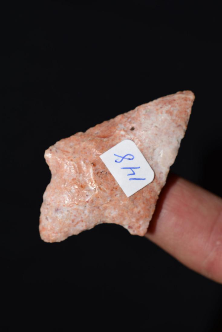 Pink Putnam point, Jackson Co Florida (1 of 2)