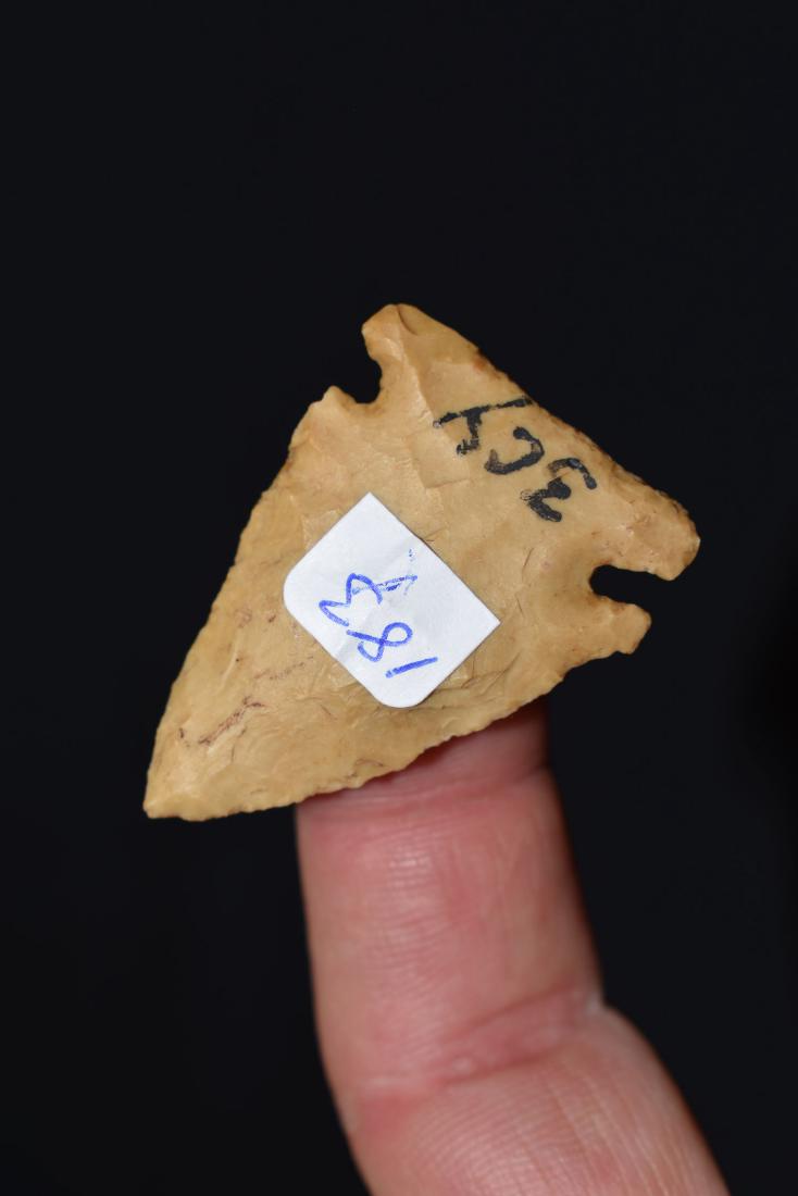 Cache River, Greene Co Arkansas, (1 of 2)