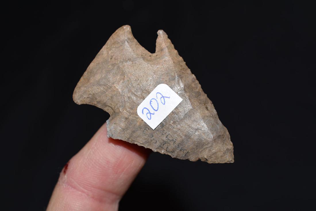 Jackson Co, IL Elco Chert Knobbed Hardin (1 of 2)