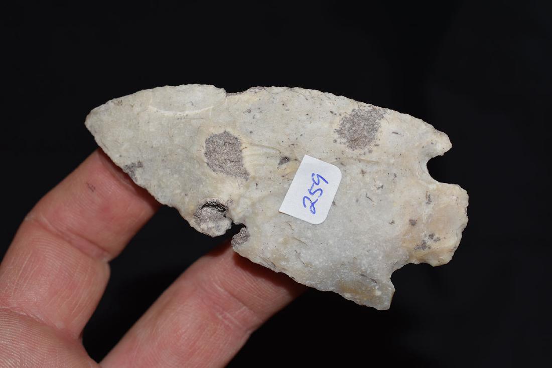 Superb Agate Coral Citrus Point, Jackson Co Florida (1 of 2)