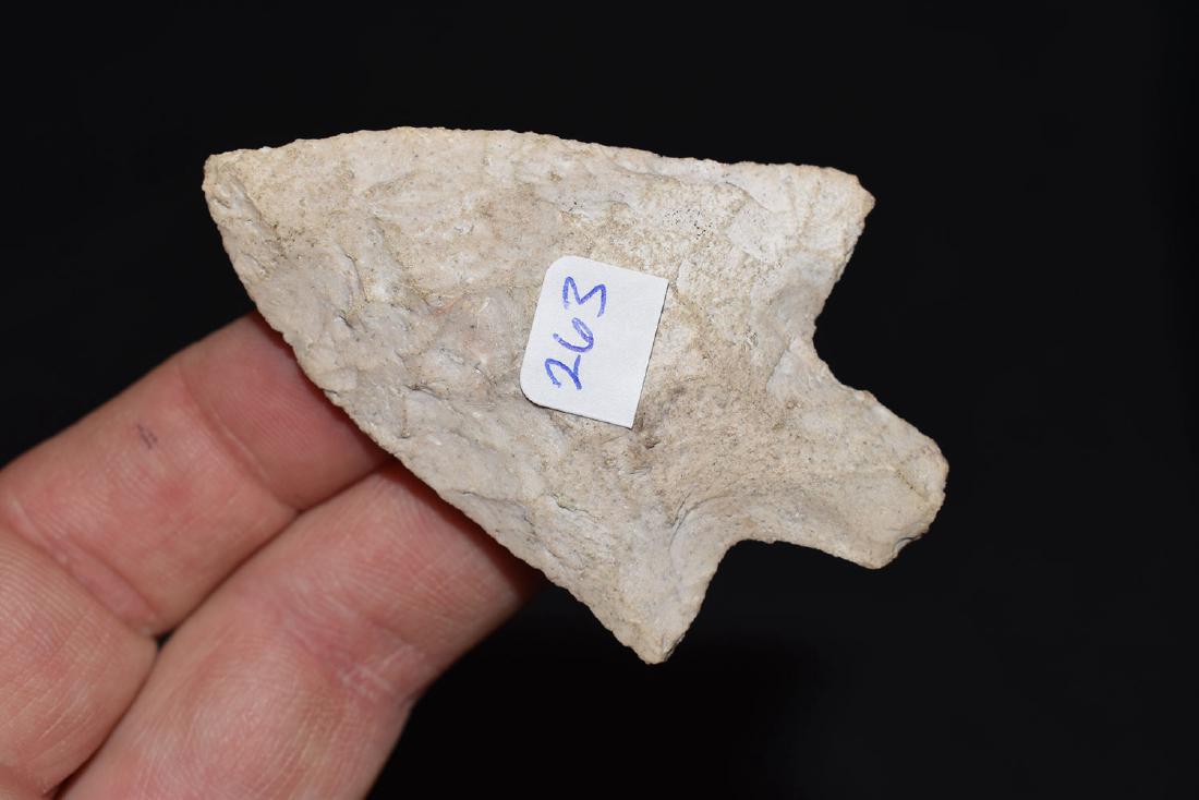 Fine Newnan, Jackson Co Florida (1 of 2)